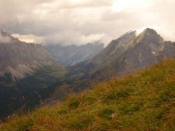 2013-09-08_6Falkenh-Steinfalk (205)04.JPG